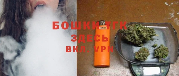 сатива Волоколамск