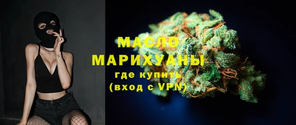 сатива Волоколамск