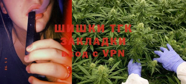 сатива Волоколамск
