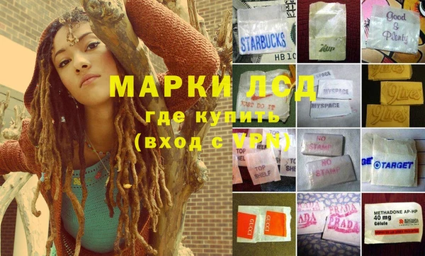 прущие грибы Вязьма