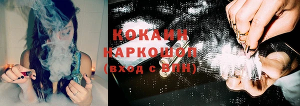 сатива Волоколамск