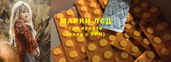 сатива Волоколамск