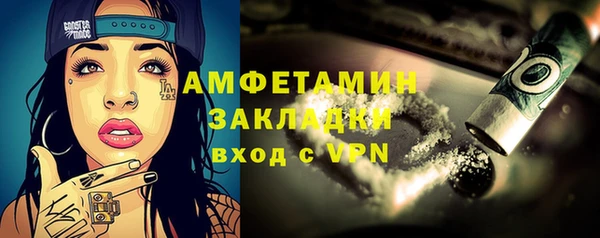 прущие грибы Вязьма