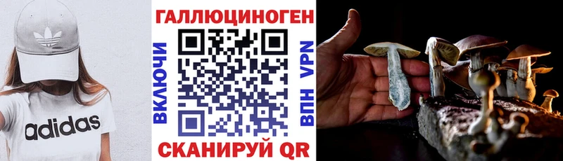 Купить  Белебей  Галлюциногенные грибы Psilocybe 